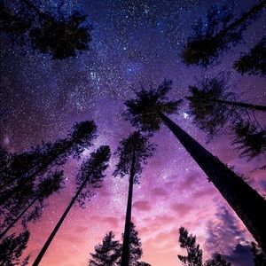 Meet your Posher, Cynthia